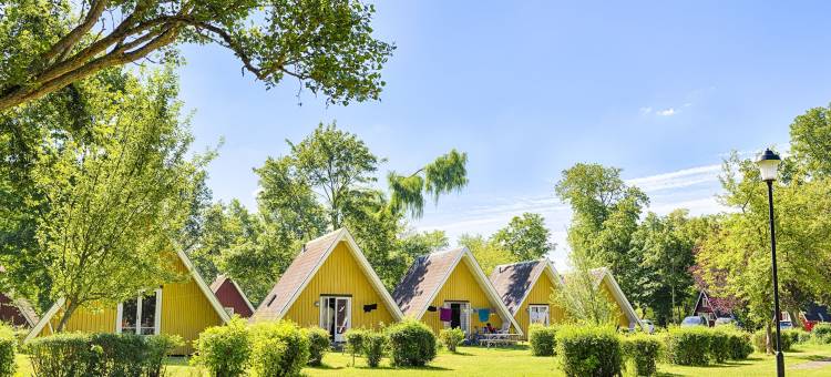 Borstahusen 露营度假村(Borstahusen Campingresort)图片