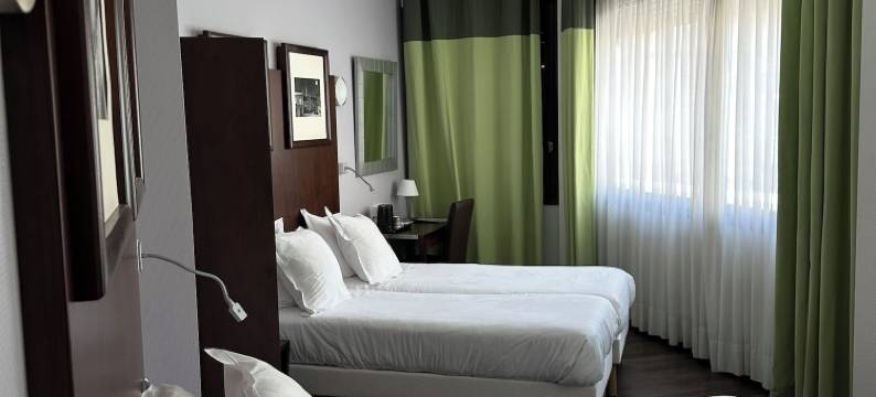 阿讷马斯杜中心酒店(Hôtel du Centre Annemasse)图片