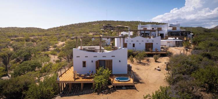 NEST Baja，设计酒店成员(Nest Baja, a Member of Design Hotels)图片