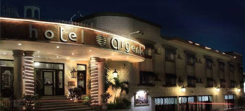 阿根托酒店(Hotel Argento)图片