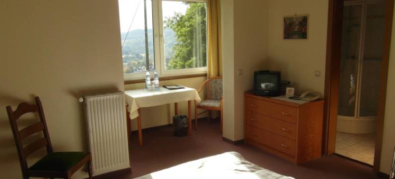 雷齐利酒店(Hotel Ritschlay)图片