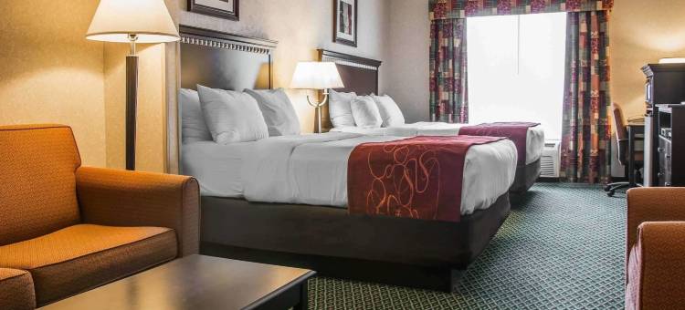 坎顿舒适套房酒店(Comfort Suites)图片