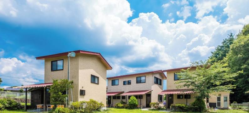 鲁比纳斯河口湖(Lupinus Kawaguchiko)图片