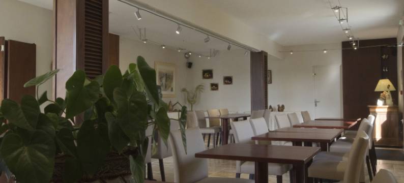 欧利维酒店(Hotel les Oliviers)图片