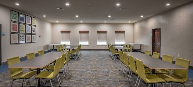 西-北韦科区智选假日套房酒店(Holiday Inn Express & Suites N Waco Area - West)图片