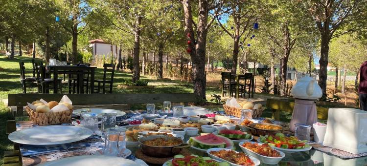 Elyada 宾馆 (+8 岁)(Elyada Otel ve Bağ Evi 8 Yaş Üstü)图片