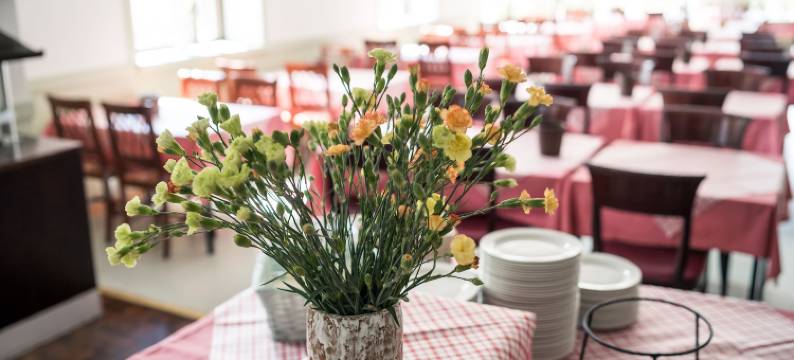 托特夏季酒店(Summer Hotel Tott)图片