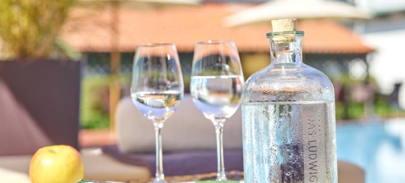 Das Ludwig Sports Resort图片