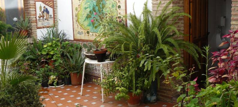 拉斯布伊特尔拉斯旅馆酒店(Hotel Restaurante Las Buitreras)图片