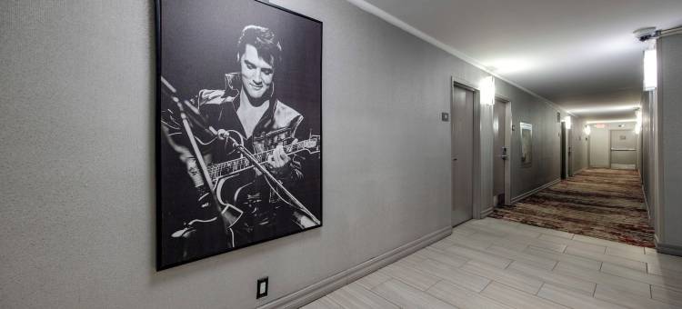 音乐街贝斯特韦斯特优质酒店(Best Western Plus Music Row)图片