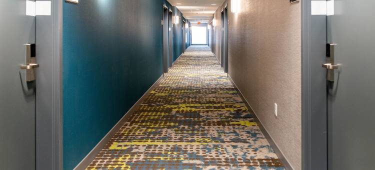 伊利诺伊帕里斯欢朋酒店(Hampton Inn by Hilton Paris IL)图片