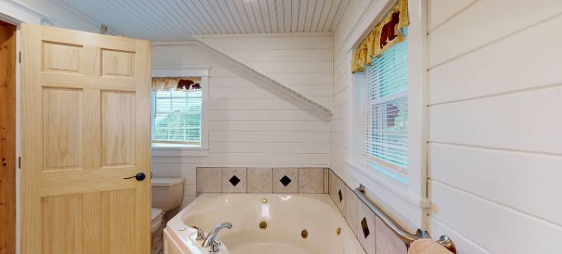 鳟鱼之家度假村(Trout House Village Resort)图片