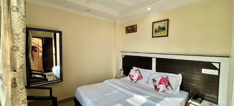 阿努吉摄政酒店(Hotel Anuj Regency)图片