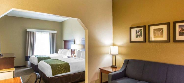 库克维尔舒适套房酒店(Comfort Suites Cookeville)图片