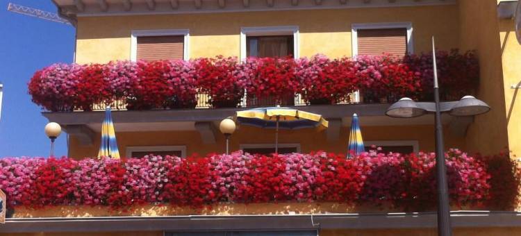 滨海酒店(Hotel Al Mare)图片