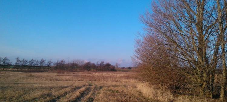 霍蒙胡斯特经济型酒店(客房&早餐)(Holmehuset Bed & Breakfast)图片