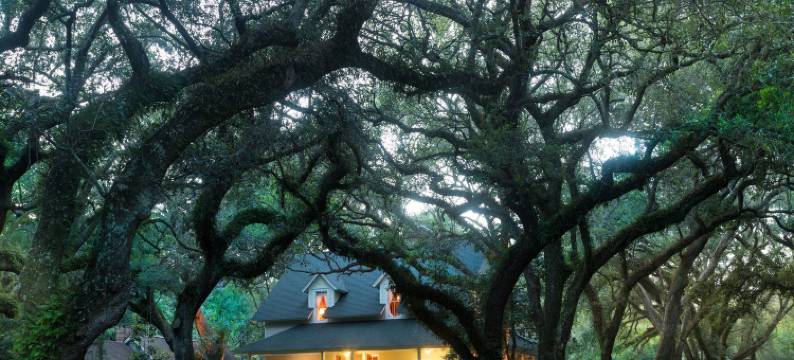 木槿泉民宿(Magnolia Springs Bed and Breakfast)图片