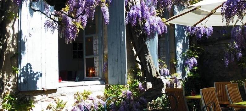 紫藤酒店(Les Glycines Vézelay)图片