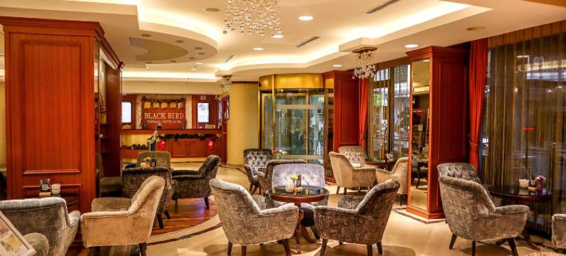 黑鸟温泉水疗酒店(Black Bird Thermal Hotel & Spa)图片