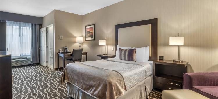 普勒斯会展中心贝斯特韦斯特优质酒店(Best Western Plus Hotel at the Convention Center)图片