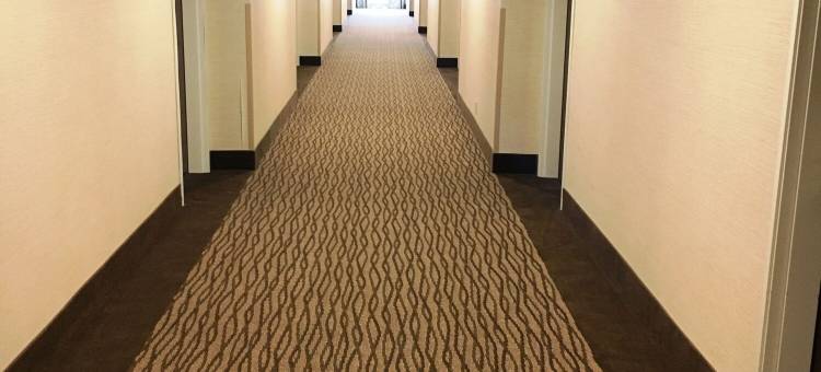 波特舒适套房酒店 - 近印第安纳沙丘(Comfort Inn & Suites Porter Near Indiana Dunes)图片