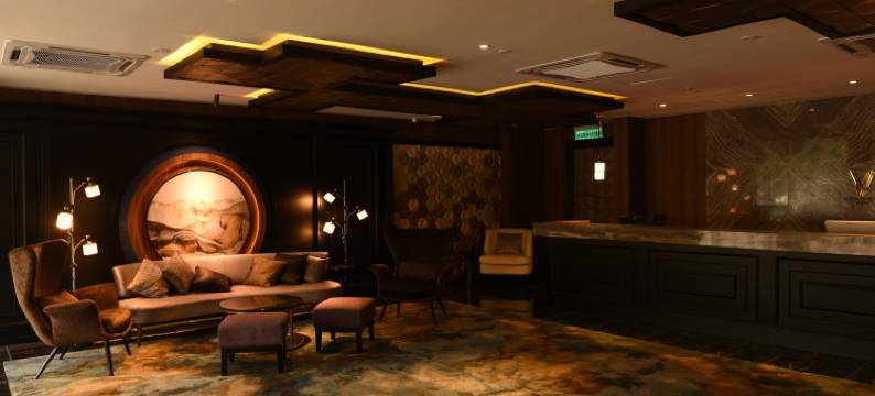 梵高酒店(Vangohh Eminent Hotel)图片