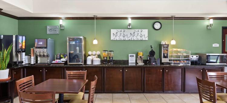 洲际机场东舒眠套房酒店(Sleep Inn & Suites Bush InterContinental - IAH East)图片