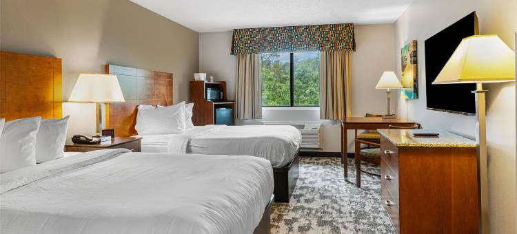 辛德尔斯贝斯特韦斯特套房酒店(Best Western Ambassador Inn  Suites)图片