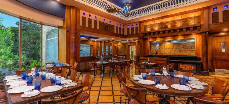 古尔冈丽亭酒店(Park Plaza Gurugram, India)图片