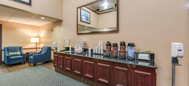 芝加哥奥黑尔机场舒适套房酒店(Comfort Suites Chicago O'Hare Airport)图片