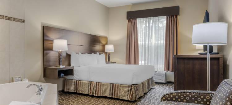 布里奇沃特贝斯特韦斯特优质酒店及会议中心(Best Western Plus Bridgewater Hotel  Convention Centre)图片