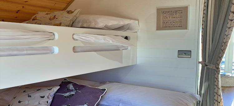 约克郡海岸线附近豪华露营木屋(Glamping Pods in Yorkshire near Coastline)图片