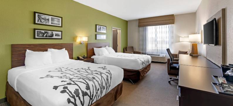 舒眠套房酒店(Sleep Inn & Suites Columbia)图片