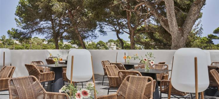 巴瑟罗波南特海滩酒店(Barceló Ponent Beach)图片