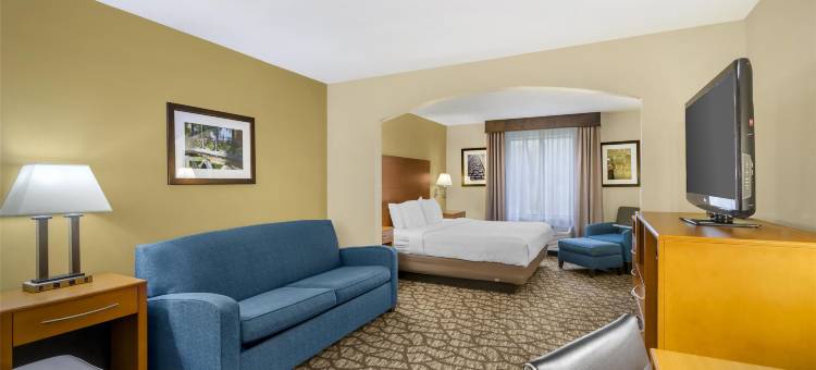 列治文山贝斯特韦斯特优质酒店(Best Western Plus Richmond Hill Inn)图片