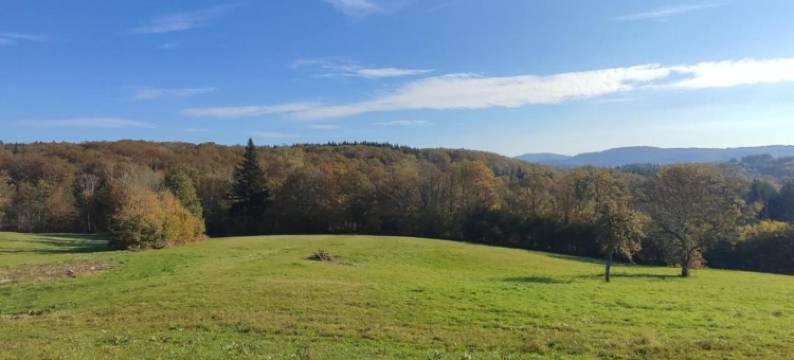 Holiday Home in Esmoulières near Forest图片