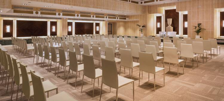 美利亚卡斯蒂利亚等级酒店(The Level at Melia Castilla)图片