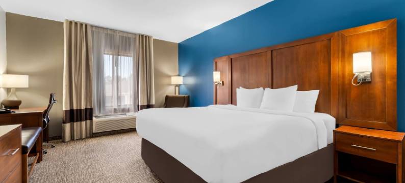 奥古斯塔西部舒适酒店及套房，靠近戈登堡(Comfort Inn & Suites Augusta West Near Fort Gordon)图片