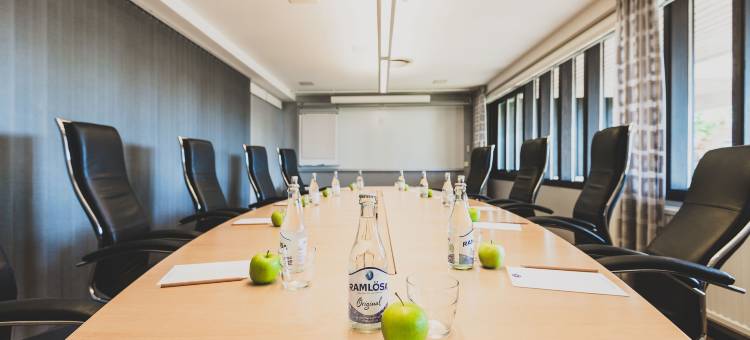 贝尔维尤酒店(Hotel Bellevue)图片