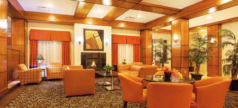 巴特尔克里克假日酒店(Holiday Inn BATTLE CREEK by IHG)图片