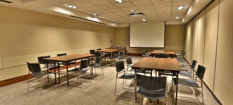 圣地亚哥拉斯孔德斯智选假日酒店(Holiday Inn Express Santiago Las Condes)图片