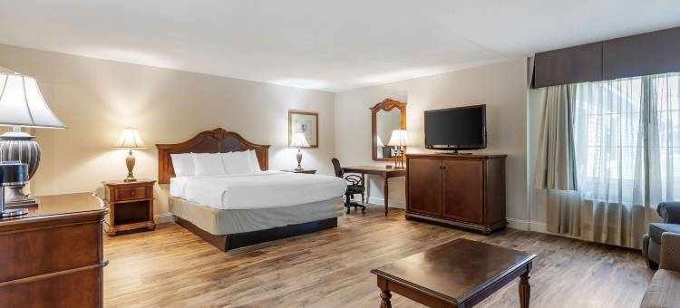 斯提普盖特贝斯特韦斯特优质酒店(Best Western Plus Steeplegate Inn)图片