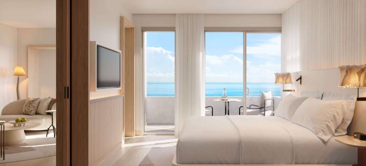 德拉诺迈阿密海滩酒店(Delano Miami Beach)图片