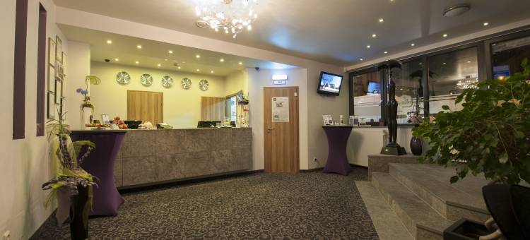 皮尔马森斯贝斯特韦斯特酒店(Best Western City Hotel Pirmasens)图片