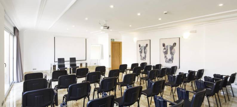 塞尔科蒂尔总统酒店(Sercotel Hotel President)图片