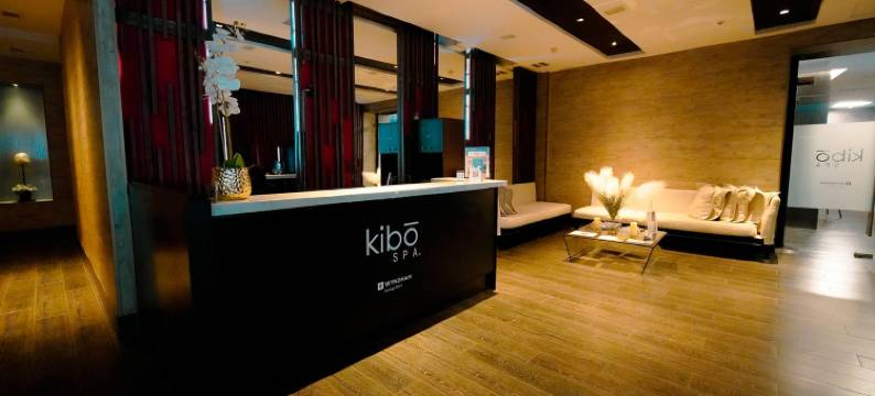 圣地亚哥佩特拉温德姆酒店(Wyndham Santiago Pettra)图片