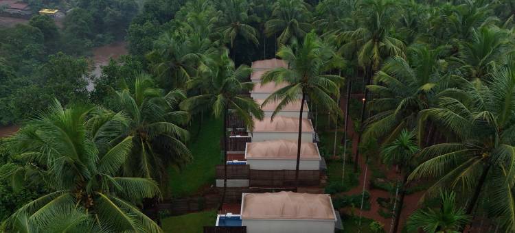 希普诺提克果阿 - 私人泳池小屋(Hipnoetic Goa -Private Pool Cottages)图片
