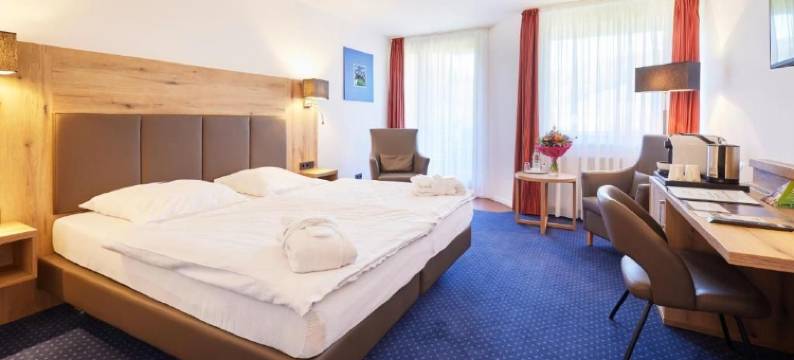 瓦尔德酒店熊石(Waldhotel Bärenstein)图片