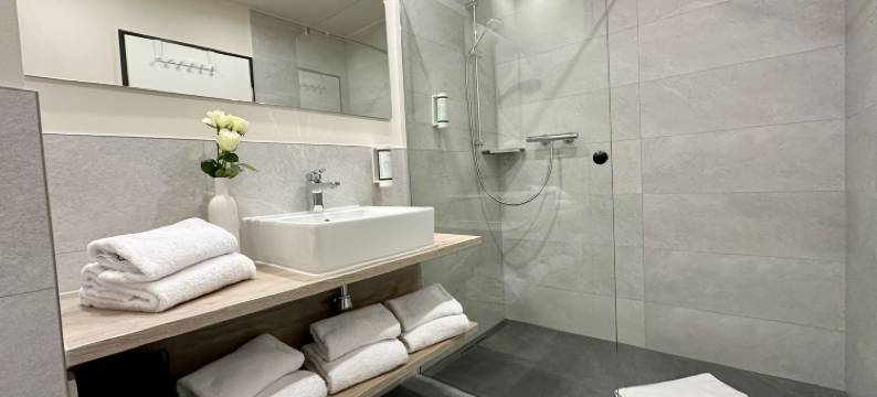 狄马斯酒店艾滕海姆-进贤(DiMas Hotel Ettenheim - Rust)图片