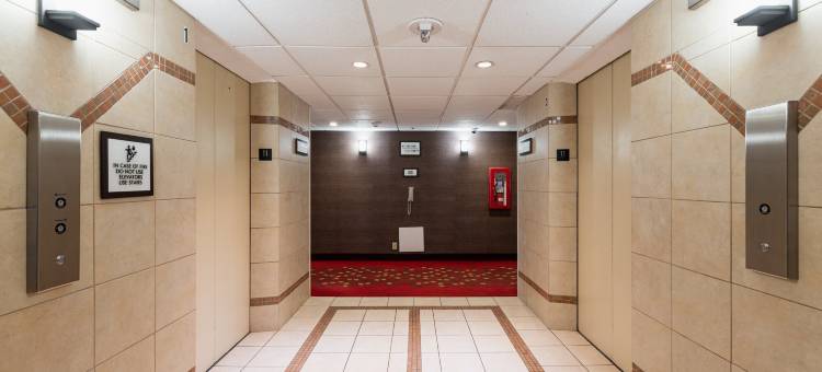 纽瓦克国际机场皇冠假日酒店(Crowne Plaza NEWARK AIRPORT by IHG)图片